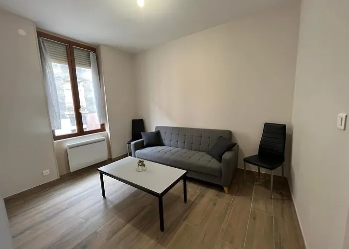 Appartement Renove A 15 Min De Lyon