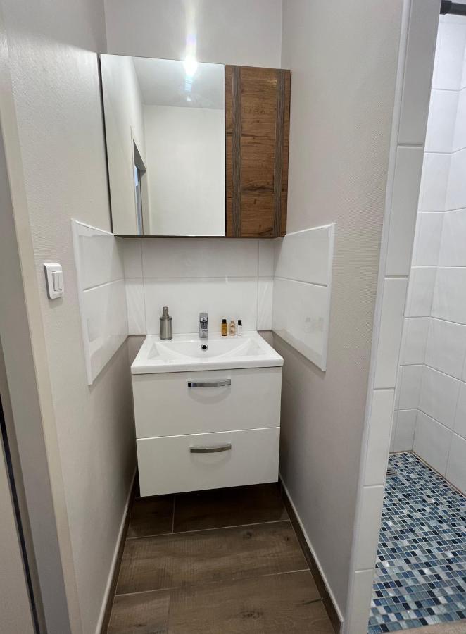 Renove A 15 Min De Lyon Apartment