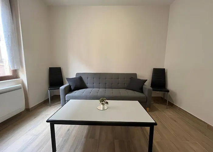 Appartement entièrement rénové à 15min de Lyon