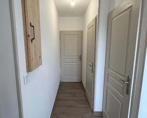 Appartement entièrement rénové à 15min de Lyon